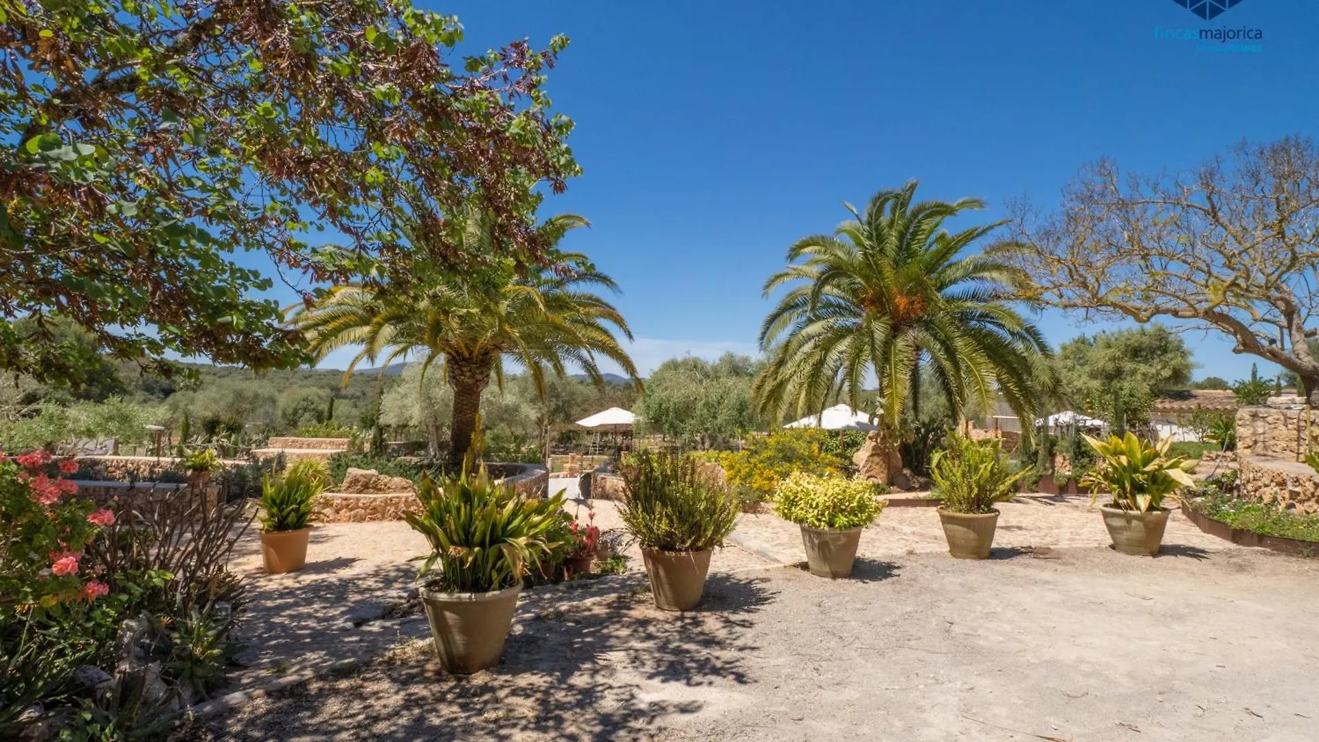 Finca Es Nou Porto Cristo 0*,